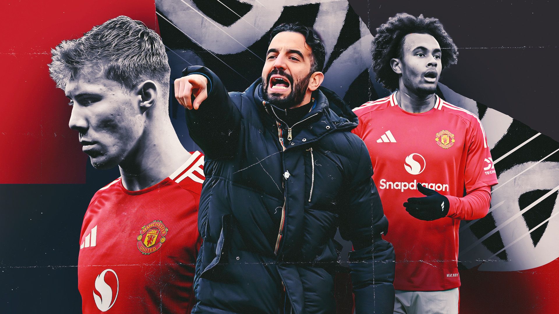 的适应环境 的适应环境